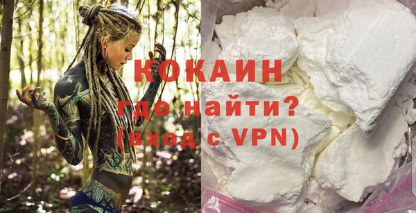 прущие грибы Покачи