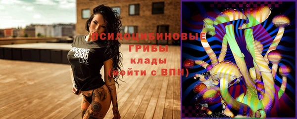гидра Покров